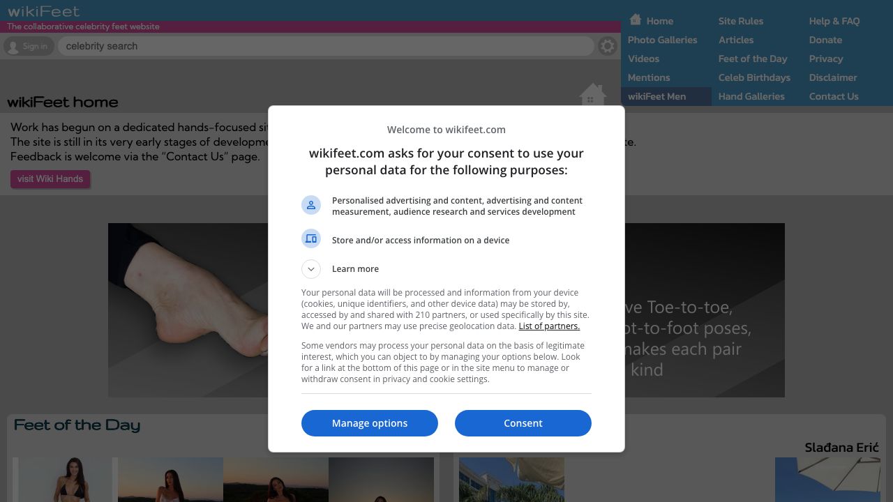 WikiFeet Review