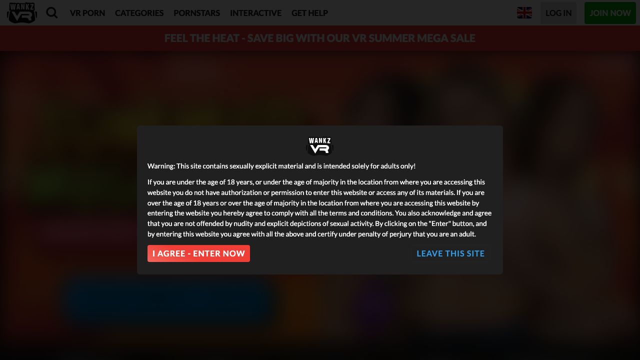 WankzVR Review