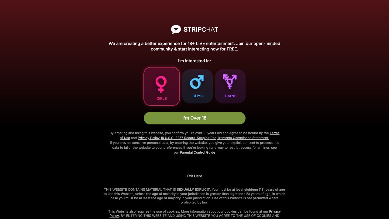 StripChat Review