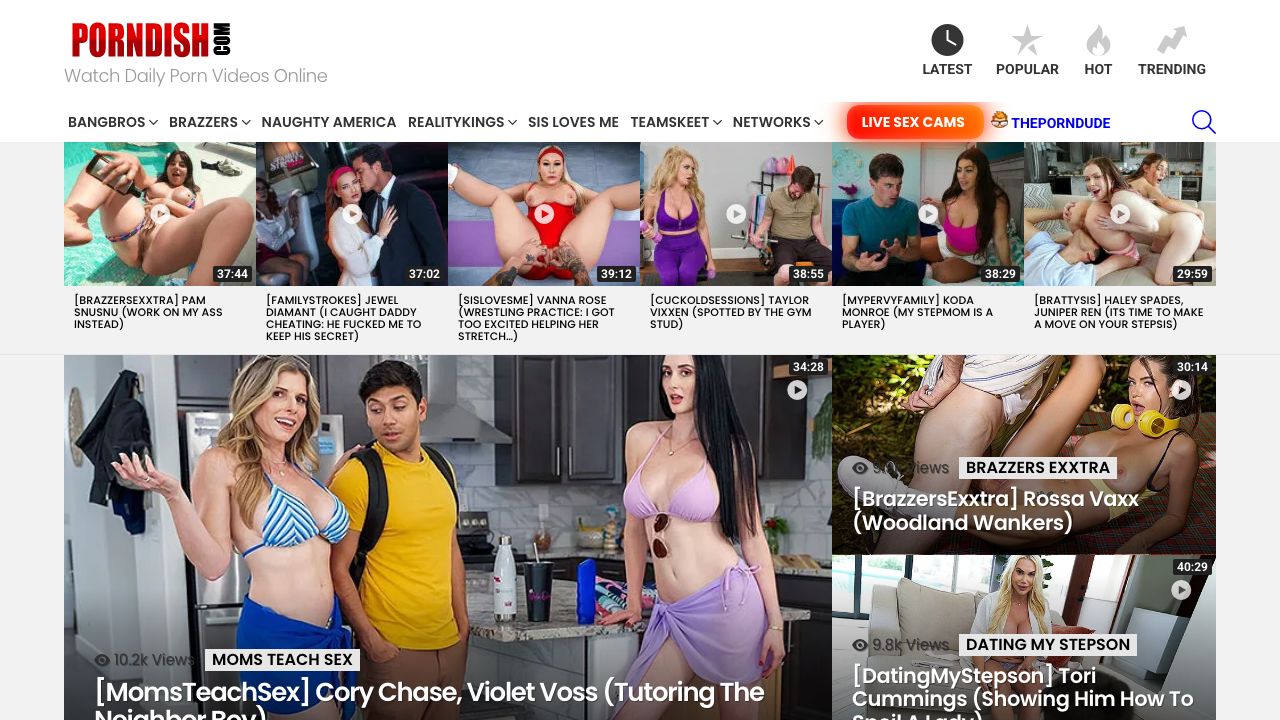 PornDish Review