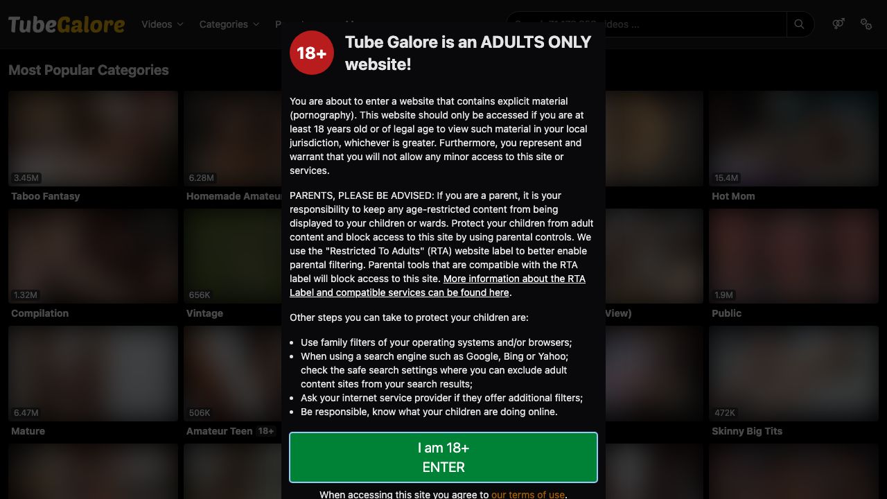 TubeGalore Review
